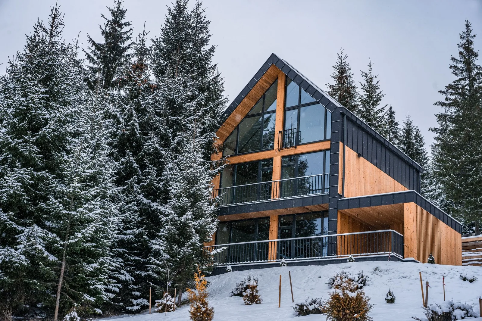 Chalet contemporain en bois et en verre, entouré de sapins enneigés