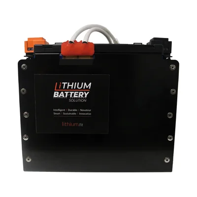 Lithium Battery Solution | 1X LBS 202 (LiFePO4) | Commercial Industrial battery Lithium-ion | with External BMS